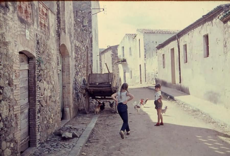 Darnius, 1960